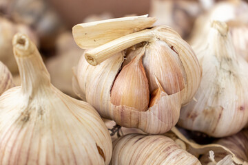 Closeup of large garlic bulb.
Pattern with garlic on the market.