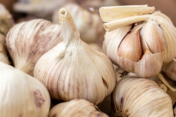 Obraz premium Closeup of large garlic bulb. Pattern with garlic on the market.