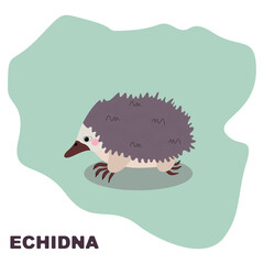 Australian echidna clipart. Vector image to be used as a poster or print for textile, education materials for school and kindergarten
