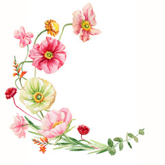 spring bouquet of wildflowers. watercolor illustration of summer flowers. poppy, peony rose, tulip