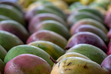 Fruta tropical manga.