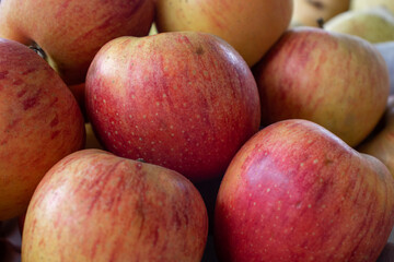 Juicy and shiny apples. Red Apple.