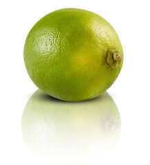 lime green isolated on white background shadow reflections​ with clipping​ path​