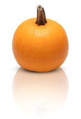 pumpkin yellow isolated on white shadows reflections​ clipping path​