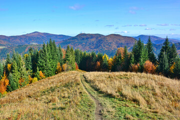 Mountain view with meadow and colorful autumn trees, Gorce mountains, Poland