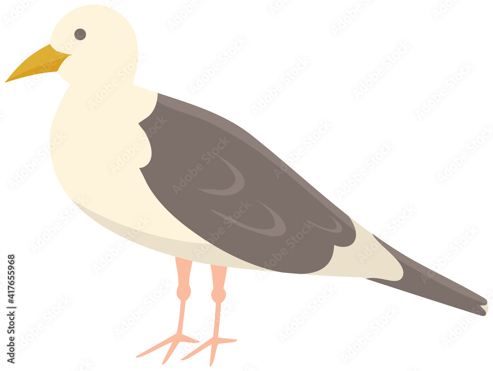 Wall mural Seagull standing on its feet. Sea bird isolated on white background. Seagull with folded wings and closed yellow beak. Bird living by ocean. Wildlife representative flat vector illustration