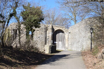 Ruine der Burg Olbrück