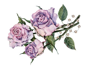 Bouquet of pink rose flowers with green leaves on the stem. Watercolor hand drawn isolated element on white background for design of cards, wedding invitations, print, backdrop, packaging, textiles.