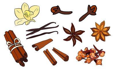 A large set of culinary spices and herbs. Popular culinary plants, natural health care. Vintage Medicinal Herbs and plants. Vanilla and cinnamon, cloves and star anise.