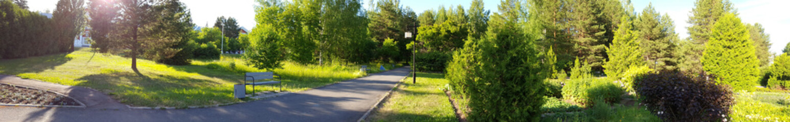 Fototapeta na wymiar park on a sunny summer day with trees, bushes and paths