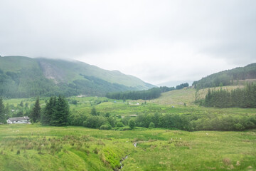 Obraz premium Scenic Landscape View of Mountain Forest with Fog, in Scottish Highland.