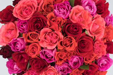detail view on an bunch of roses