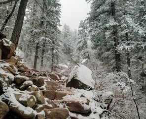 Royal Arch Trail, Boulder, Colorado. Snowy trail in a snowy forest with rock