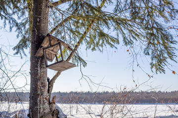Bird feeder for forest birds in the winter forest.
