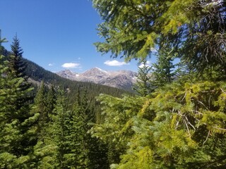 View from Mount Meeker, Rocky Mountain National Forest, Colorado, Mountain with pine forest