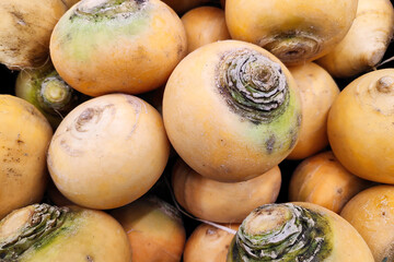 Close-up on a stack of turnip golden balls on a market stall.