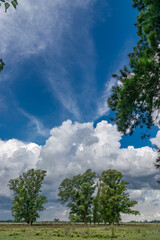 Obraz premium Cloudy sky in a rural environment