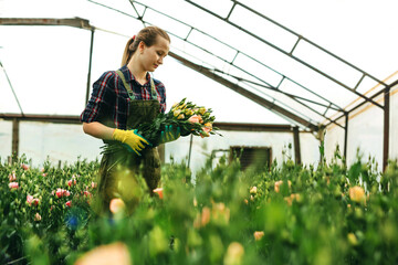 Woman gardener holding bouquet and taking care of flowers in the greenhouse. Spring and summer nature concept.
