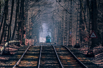Naklejka premium railway in the woods
