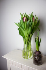 Bukiety kwiatów w nowoczesnym mieszkaniu tulipany, hiacynt na szafce, białe tło