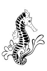 Seahorse black and white