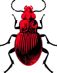 Tiny insect flat vector illustration. For a coloring book, textile fabric prints, phone case, greeting card. logo, calendar