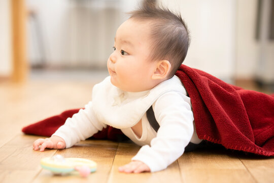 ハイハイ の画像 1 914 件の Stock 写真 ベクターおよびビデオ Adobe Stock