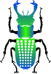 Tiny insect flat vector illustration. For a coloring book, textile fabric prints, phone case, greeting card. logo, calendar