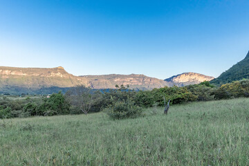 Trees, mountain, rocks in the Chapada Diamantina National Park.