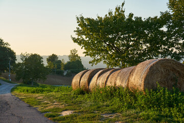 Obraz premium Hay bales in Italian village. Rural landscape.