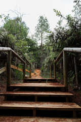 Escaleras de madera en naturaleza