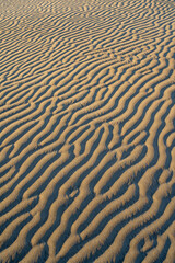 sand dunes in the desert