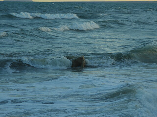 Ola rompiendo en las piedras