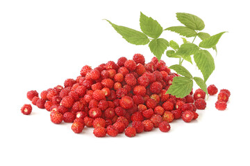 Pile of wild strawberries with sprig isolated on a white