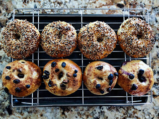 Variety Mix  Homemade Bagels lying on Steel Cooling Rack in Baking sheet on Granite Countertop