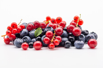 assorted forest fruits