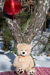 teddy bear in the park © Aleksandra