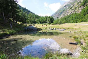 Landscape in Germany