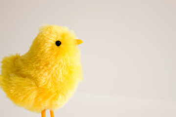 Easter symbol. Cute yellow chicken on a white background. Place for text. Background for design. Easter background.