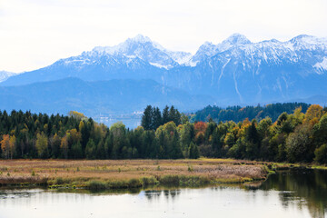Sea, forrest an mountains