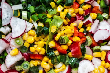 Fototapeta na wymiar Salad with radishes, green onion, red pepper and corn kernels.
