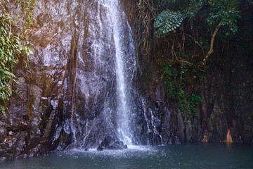 Fototapeta premium Tropical freshness. Jungle waterfall. Wet rock.