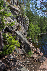 Fototapeta premium trees and rock on the lake shore
