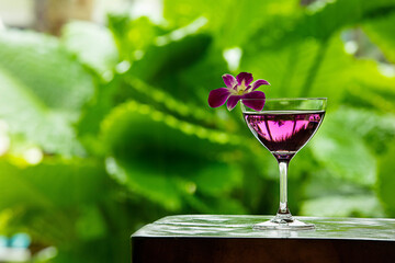 Purple Cocktail