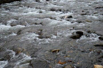 swift mountain river full of stones