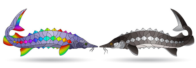 A stained glass illustration with abstract sturgeon  fishes isolated on a white background