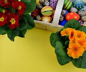 primroses and painted eggs on yellow background