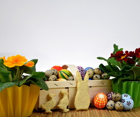 primroses, painted eggs and bunny shaped cookies on white background