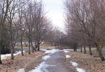 winter in the park