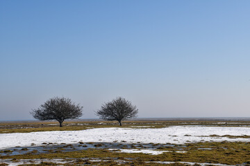 Early springtime by the great grassland at Ottenby in Sweden